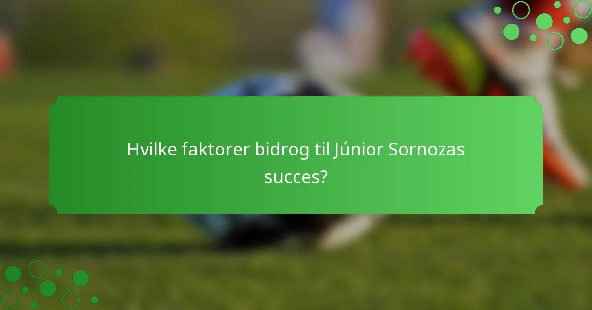 Hvilke faktorer bidrog til Júnior Sornozas succes?