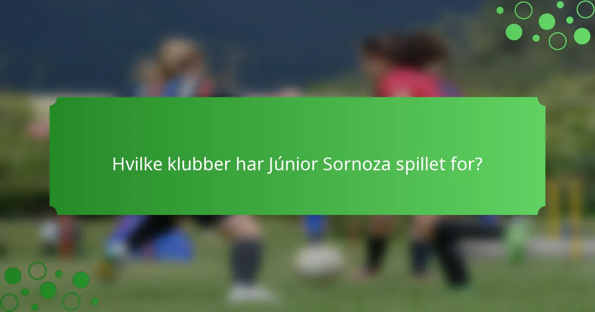 Hvilke klubber har Júnior Sornoza spillet for?