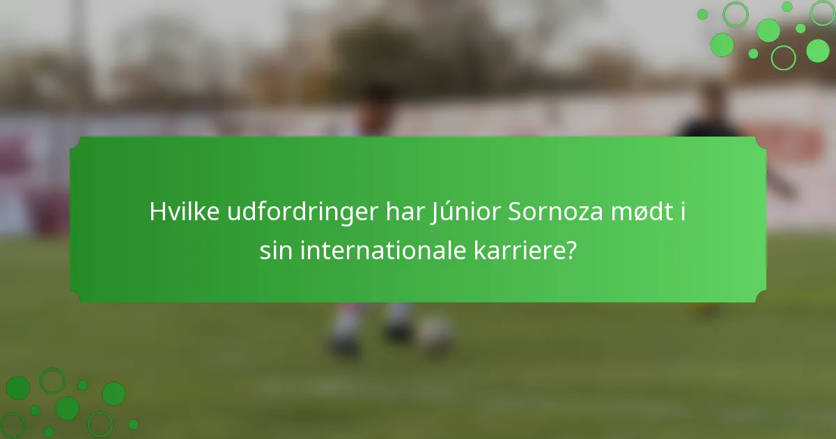 Hvilke udfordringer har Júnior Sornoza mødt i sin internationale karriere?